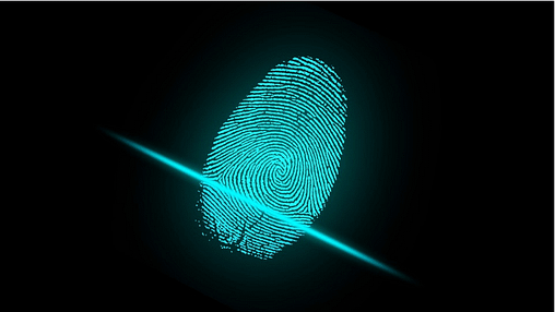fingerprint