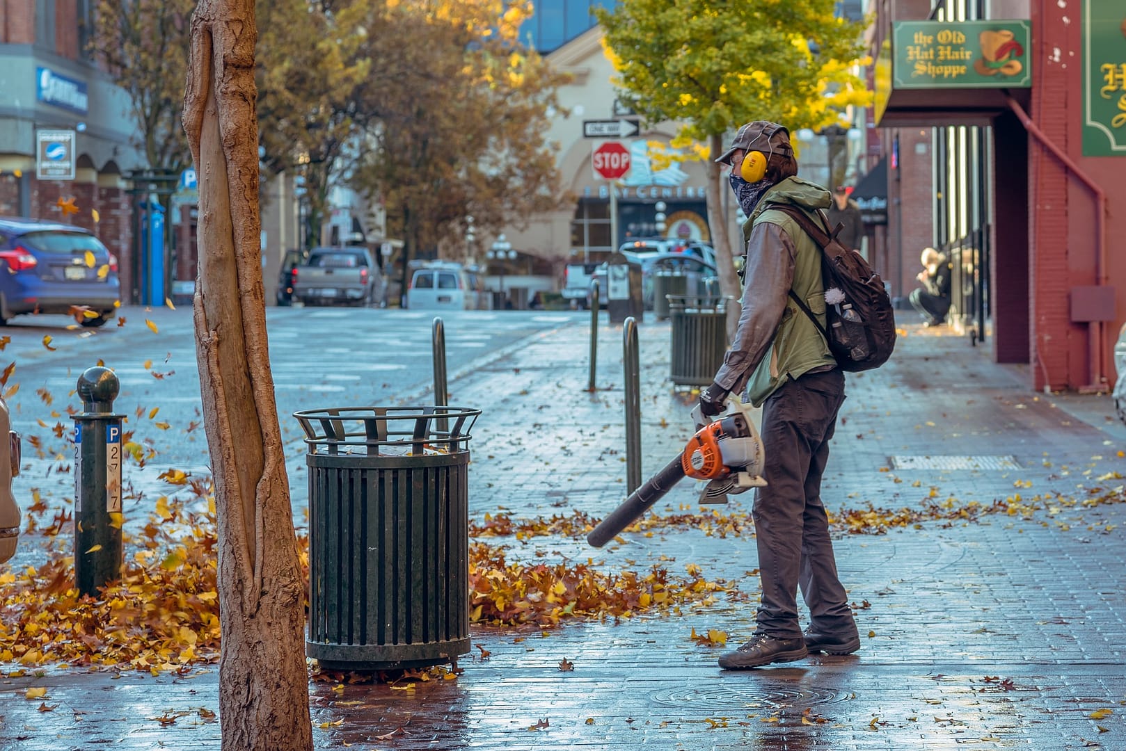 autumn